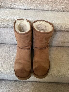 UGG Chestnut Short Suede Boot with Cream Shearling